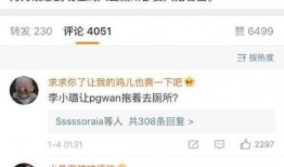 李小璐老公爆料视频最新,揭秘婚姻内幕，真相令人震惊